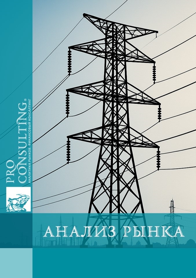 Анализ рынка электроэнергии Украины. 2025 год